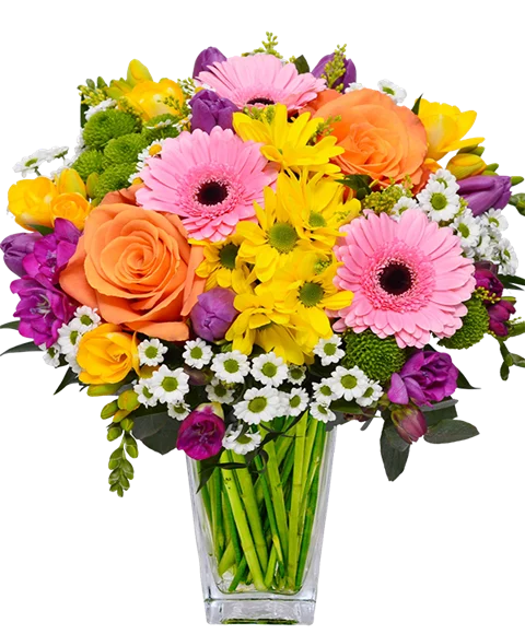 Bouquet di gerbere rosa